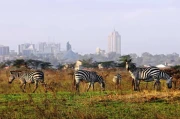 Nairobi: What Time It Is and Why You Should Care