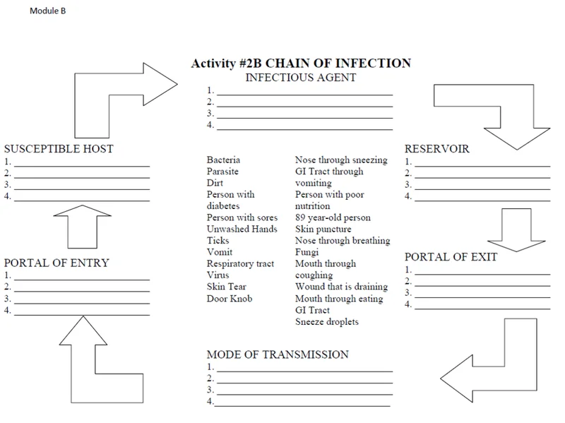 Jack's Donuts' Chapter 11 Filing: What the Numbers Actually Reveal